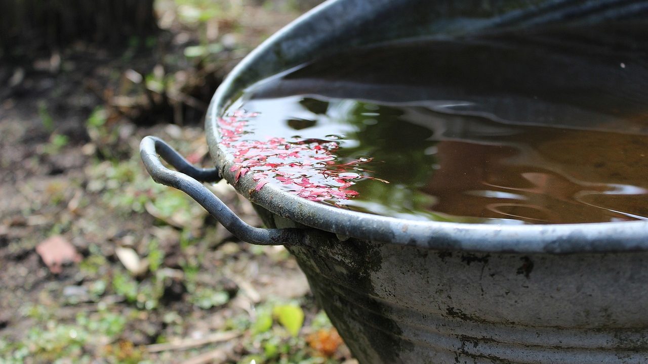 Metallschüssel mit Regenwasser im Garten